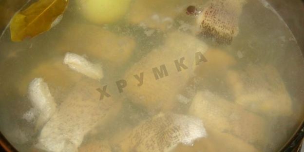 заливное из щуки