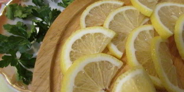 заливное из судака и креветок