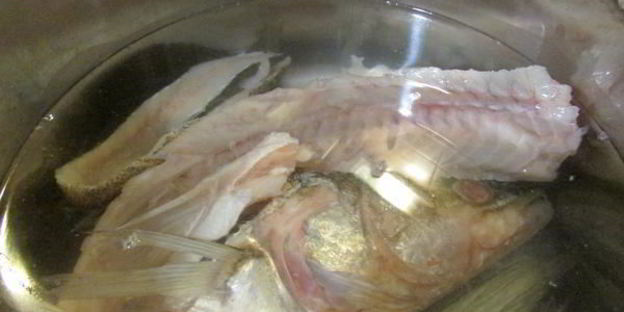 заливное из судака и креветок