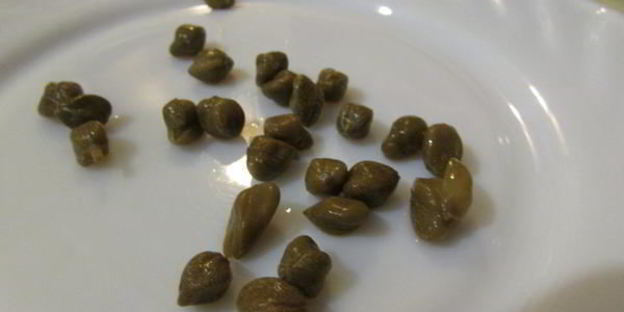 заливное из судака и креветок