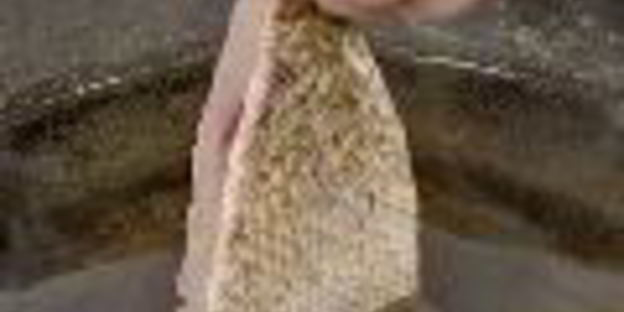 заливное из судака с креветками