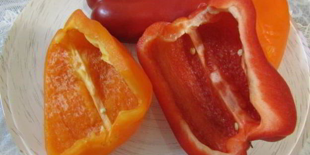 заливное морское дно