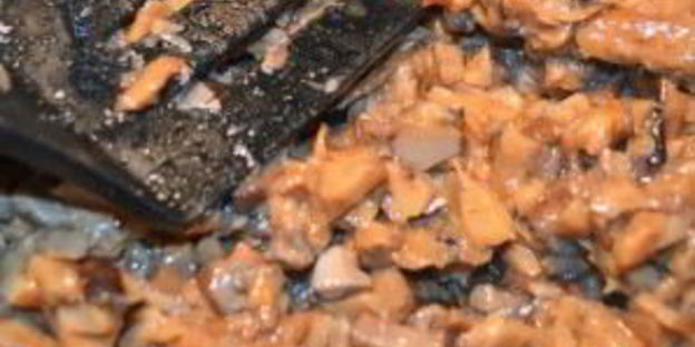 жульен из индейки