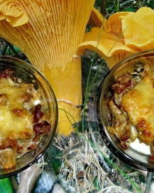 Жульен из лисичек