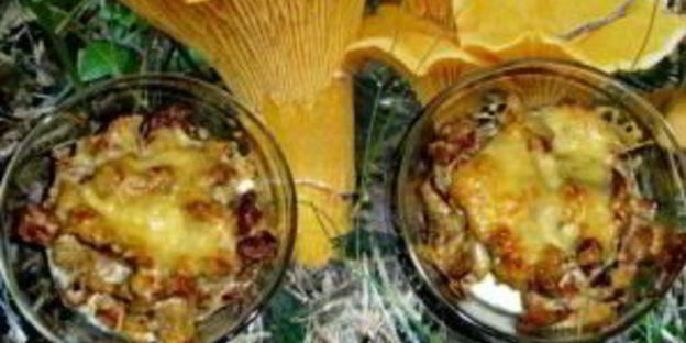 жульен из лисичек