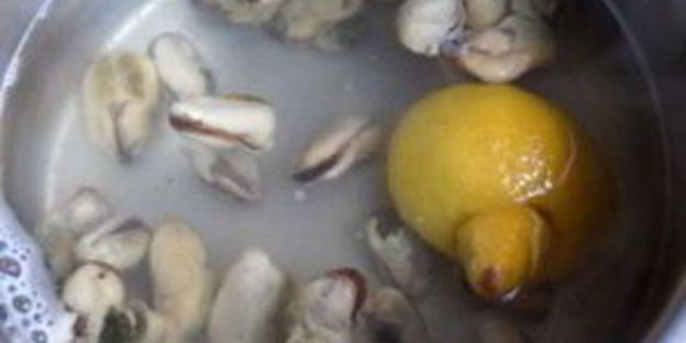 жульен из мидий