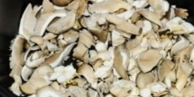 жульен из вешенок