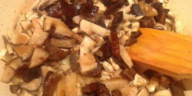 жюльен из боровиков